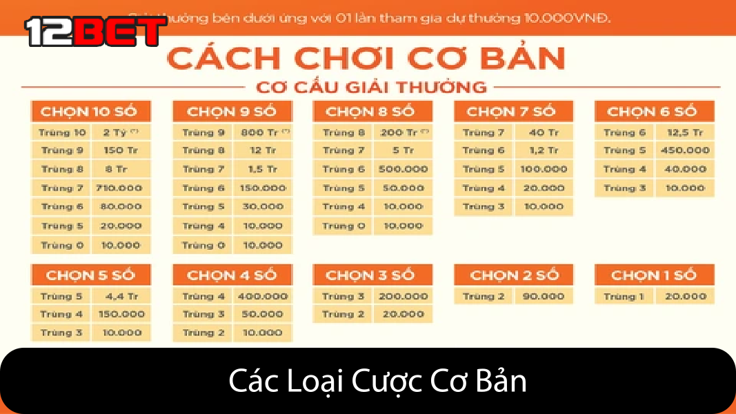 Các Loại Cược Cơ Bản