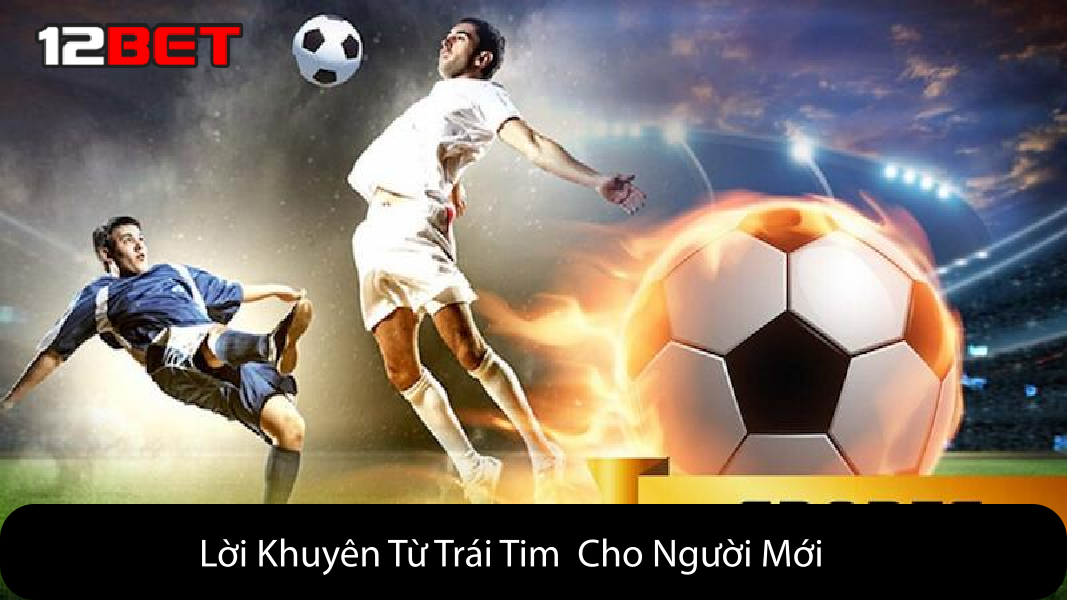 Lời Khuyên Từ Trái Tim Cho Người Mới